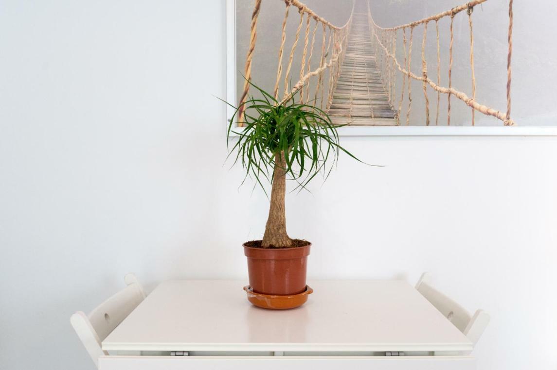 Ml1C-Prime Location Marble Apartment With Patios Málaga Eksteriør bilde