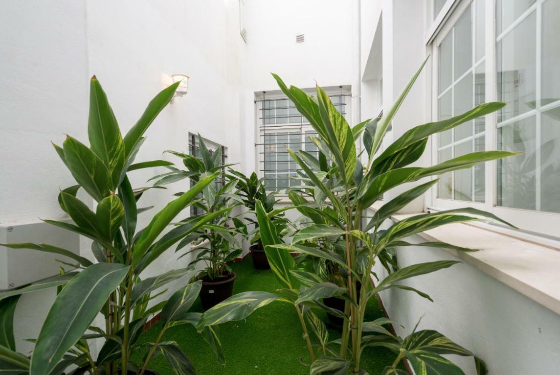Ml1C-Prime Location Marble Apartment With Patios Málaga Eksteriør bilde